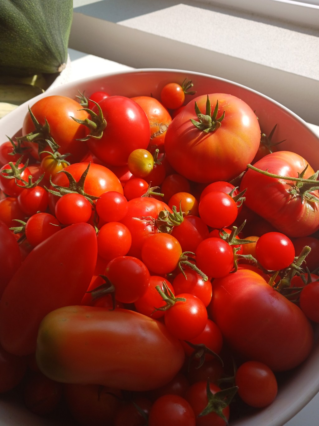 Today’s Seeds, Tomorrow’s Harvest